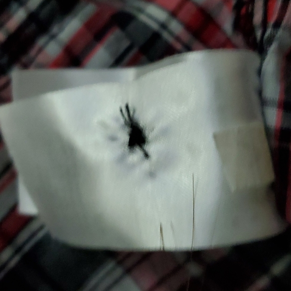 EUC H&M Plaid Button Up Shirt, New w/o Tags - Picture 7 of 7